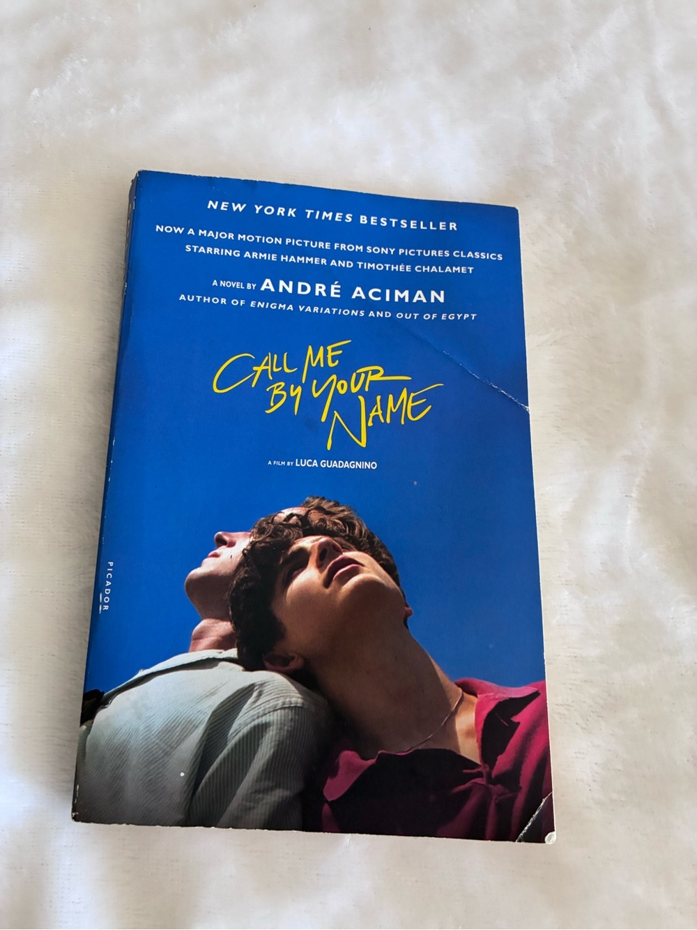 Call Me By Your Name Paperback Novel - Blue Cover